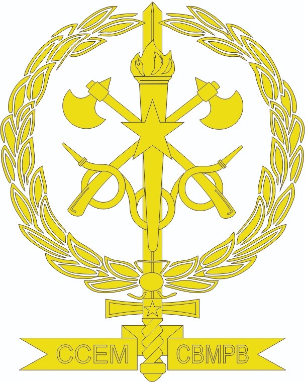 CURSO DE COMANDO E ESTADO-MAIOR