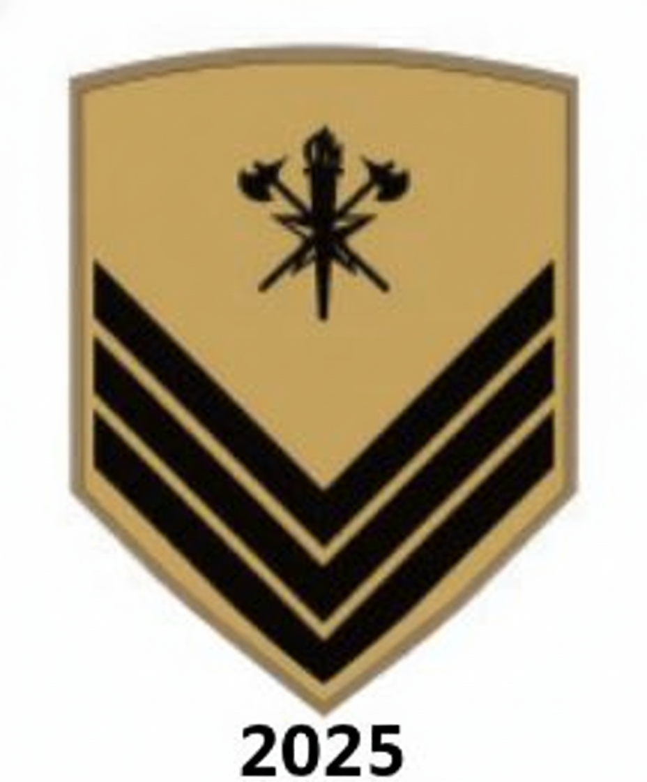 Curso de Formação de Sargentos - 2025